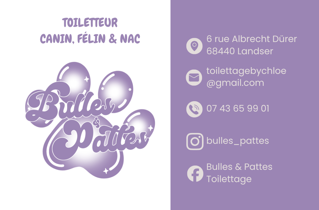 Carte de visite Bulles et Pattes — toilettage Landser